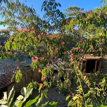 Σπίτι διακοπών Keva Dogal Tarihi Tas Evler Adatepe (Ayvacik)