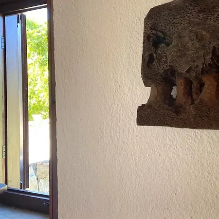 Keva Dogal Tarihi Tas Evler *