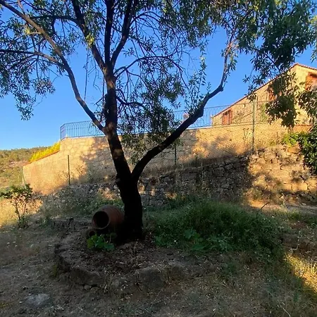 Keva Dogal Tarihi Tas Evler *