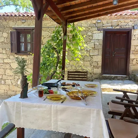 Keva Dogal Tarihi Tas Evler